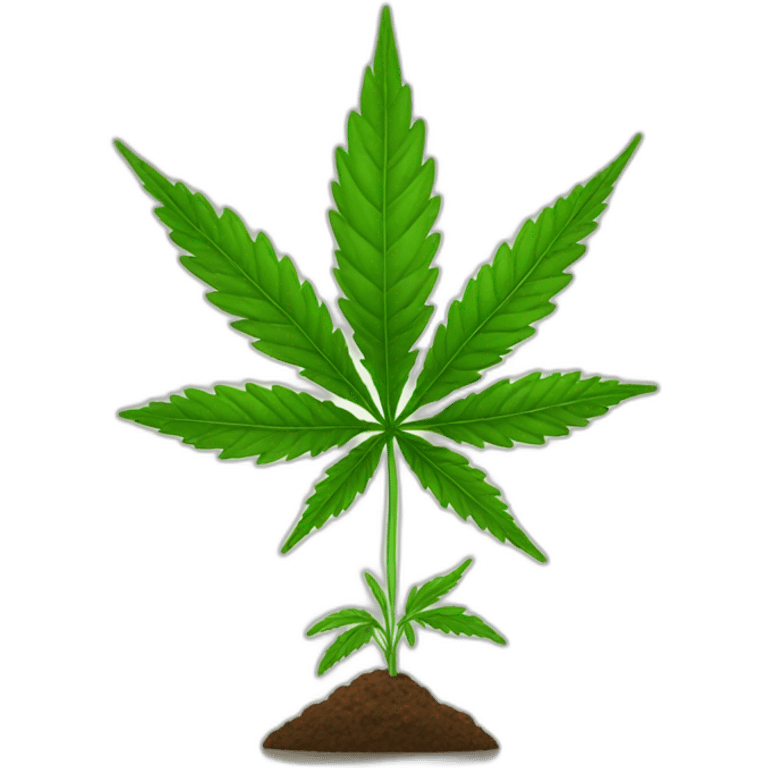 young-cannabis-plant emoji