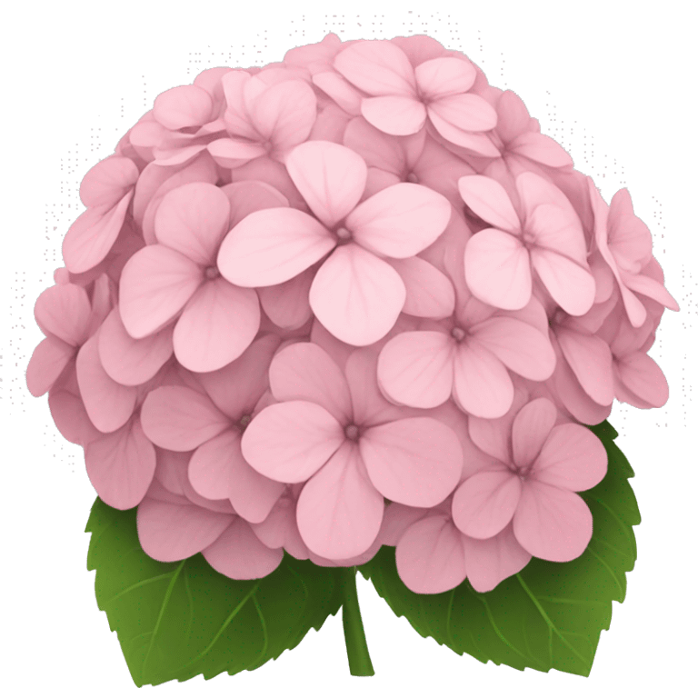 Light pink hydrangeas emoji