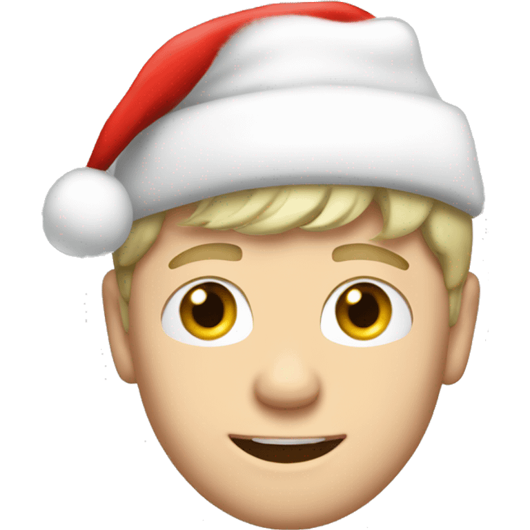 niall horan with santa hat emoji