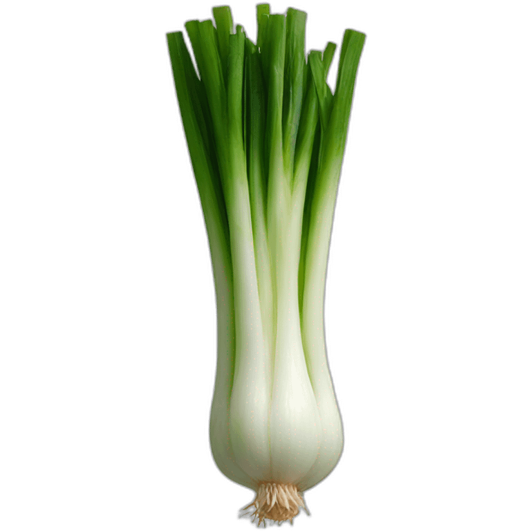 Green onion emoji