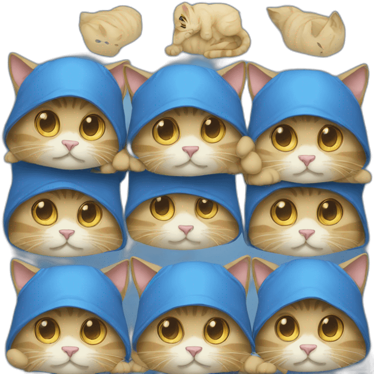 blue hood cat emoji