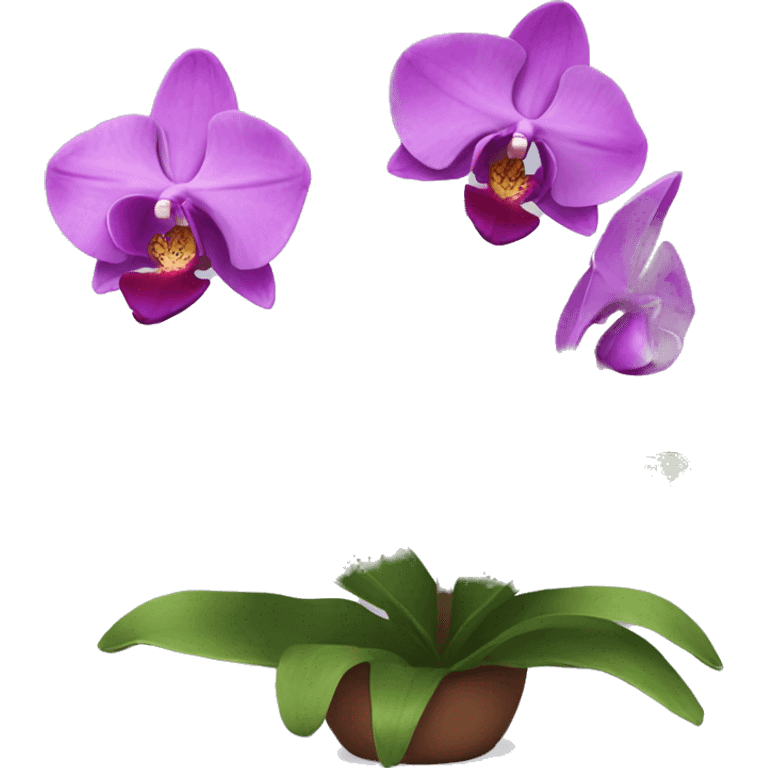 orchid emoji