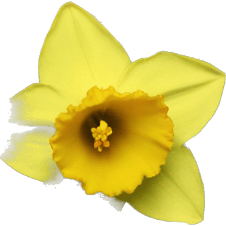 Daffodil emoji