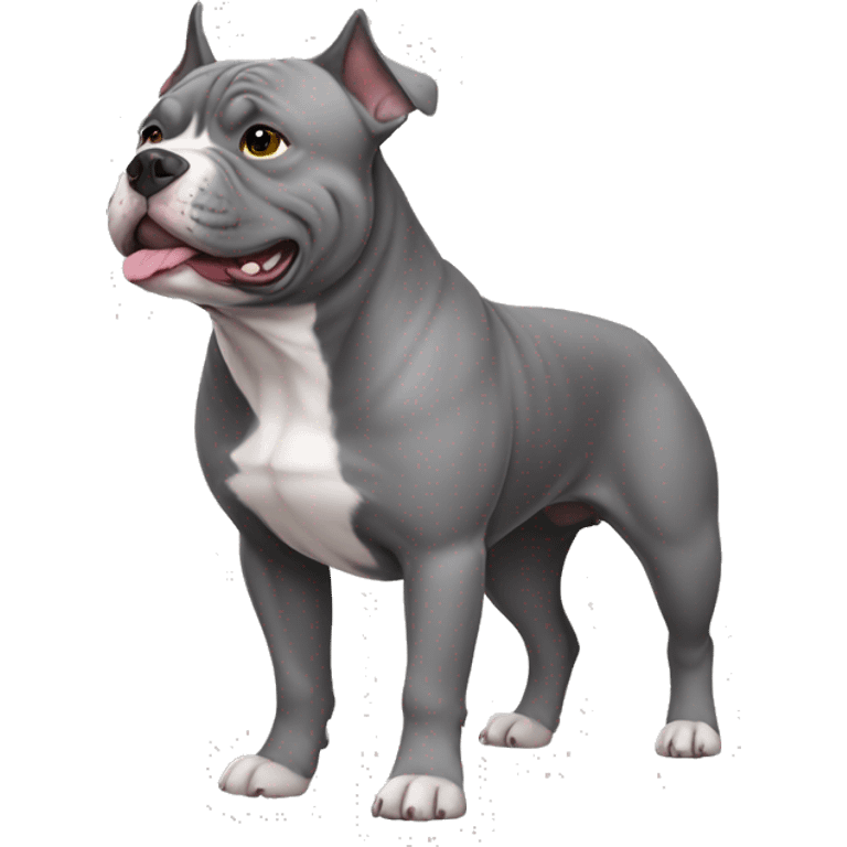 Grey American bully dog emoji