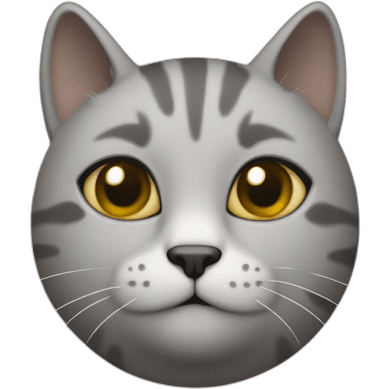 a round-faced cat with a grey beehive and no pattern all over emoji