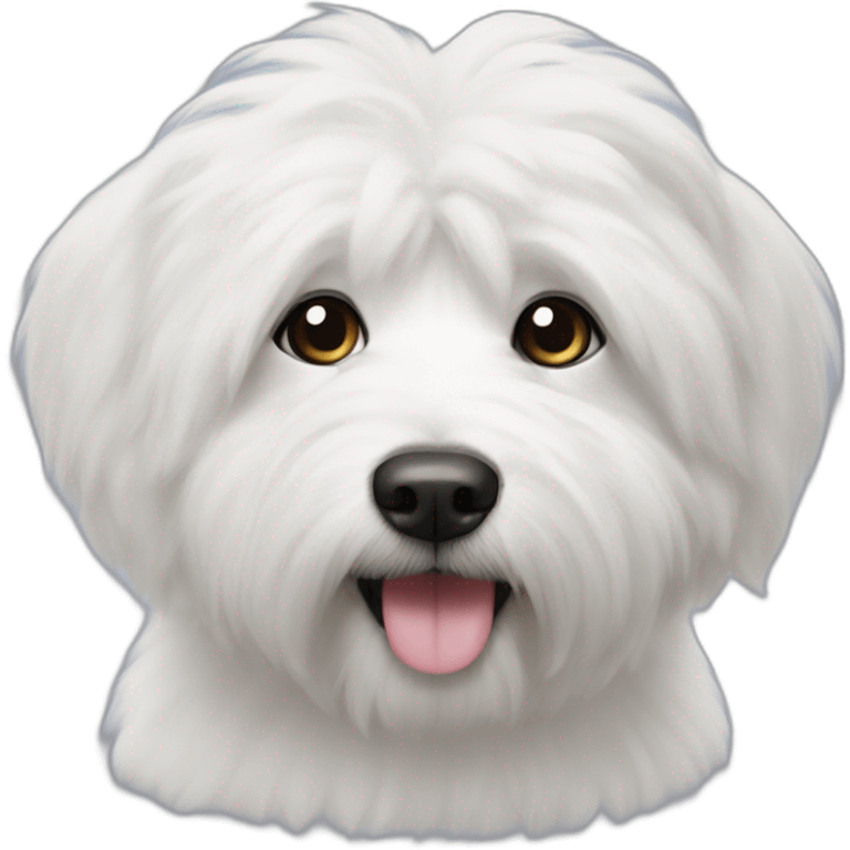 Cotton de tulear emoji