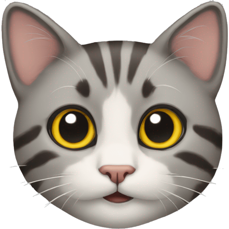 animated cat emoji emoji