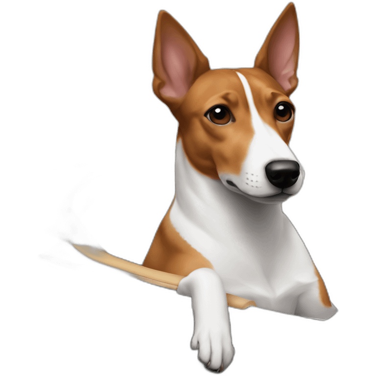 Tricolor basenji sitting in driver’s seat of a black Aston Martin emoji