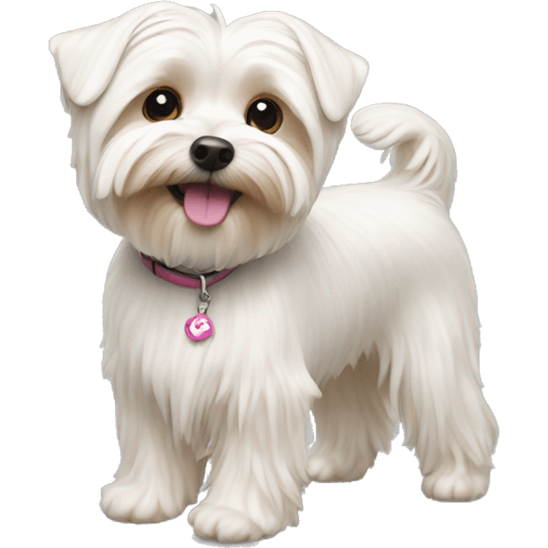 White morkie  emoji