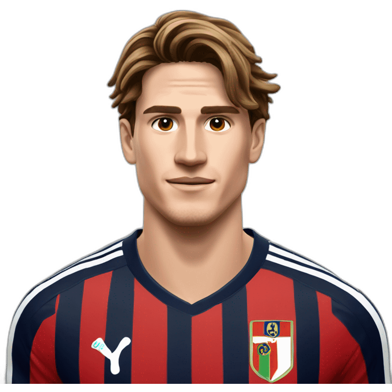 nicolo zaniolo emoji