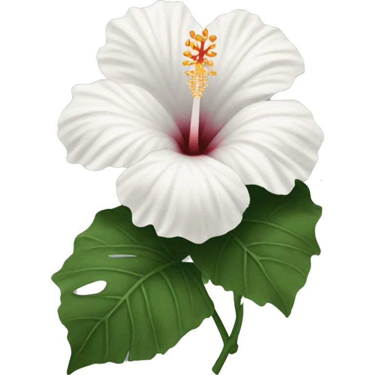 white hibiscus  emoji