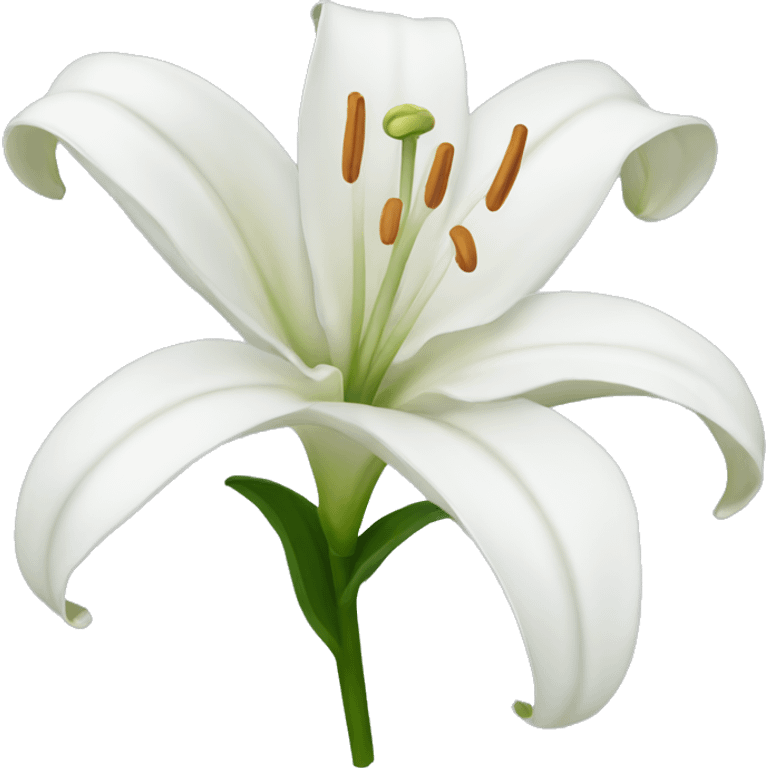 White lily  emoji