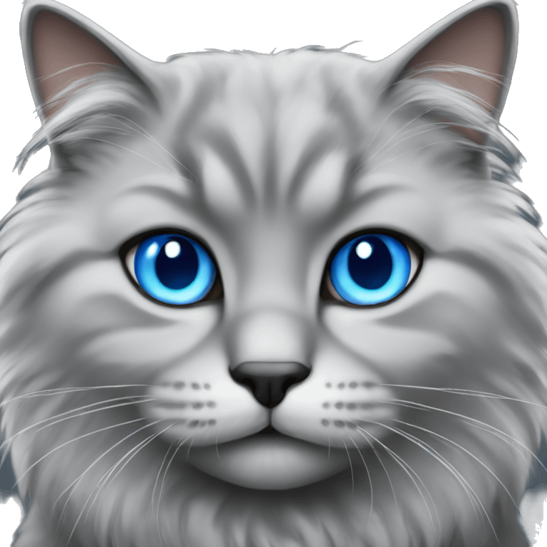 Gray fluffy cat with blue eyes emoji