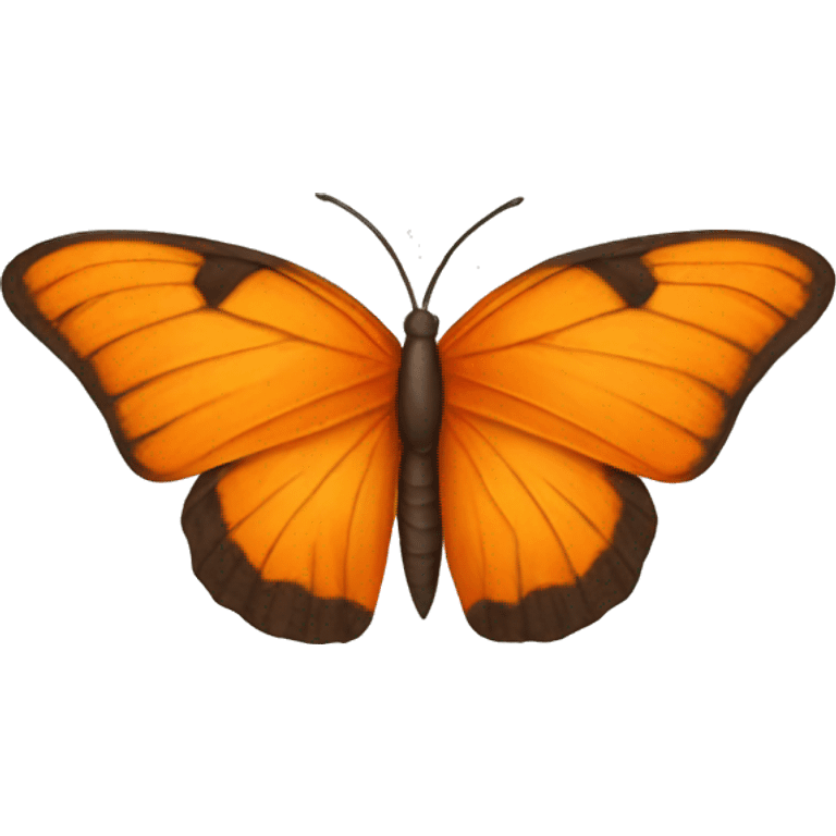 small orange butterflies  emoji