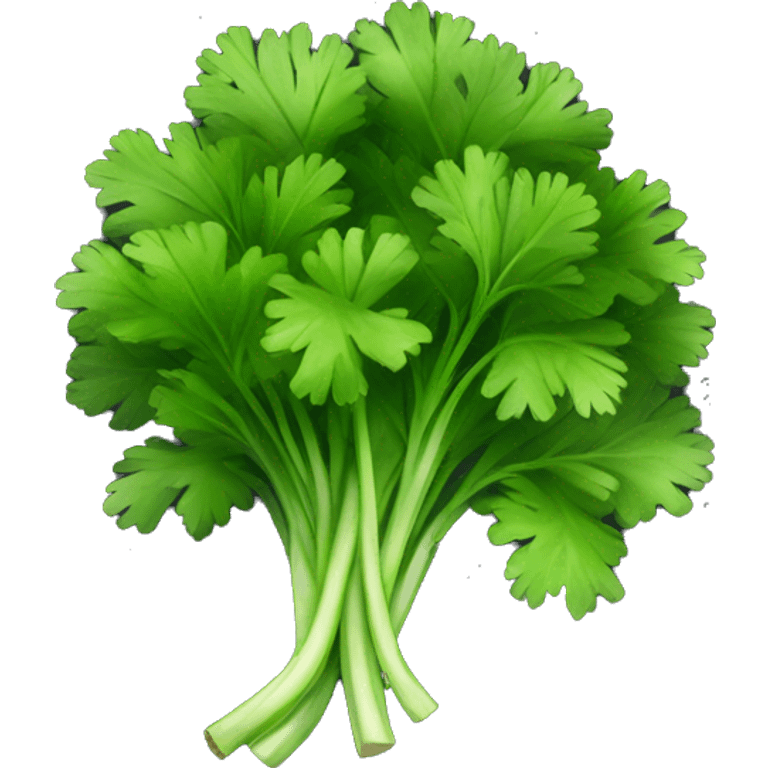 cilantro with black background emoji