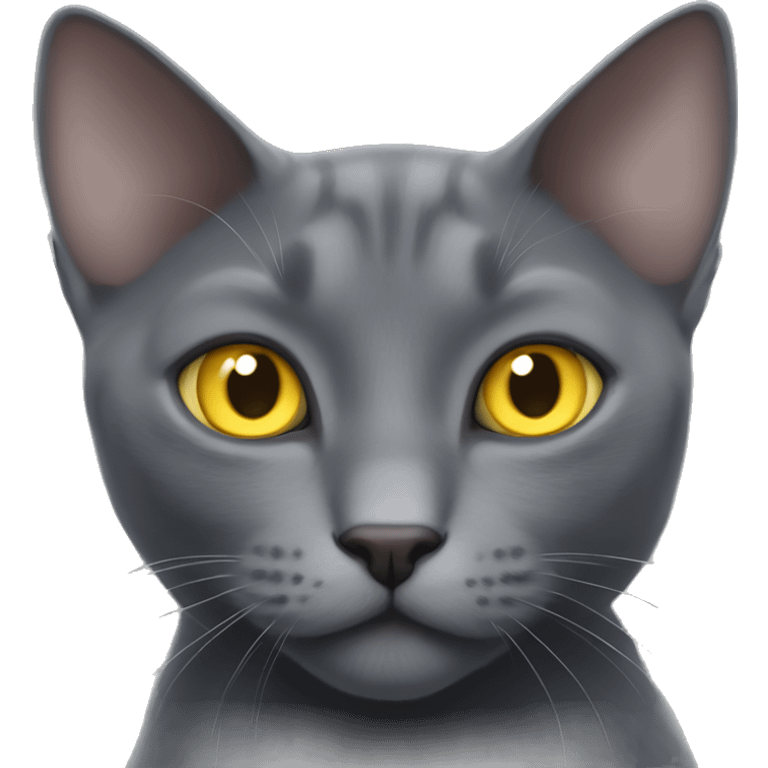 Gray russian blue cat with ears like bats have and sparkling yellow eyes emoji