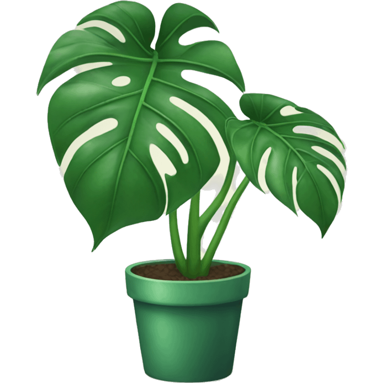 Monstera plant  emoji