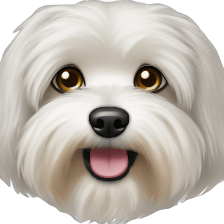 Bichon Havanese dog head emoji