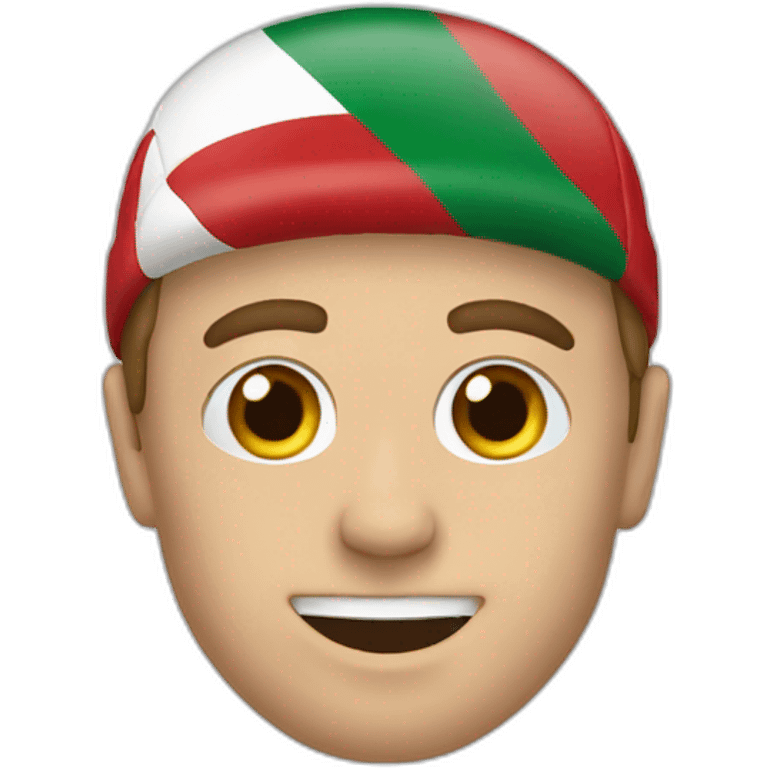 hungary football fan emoji