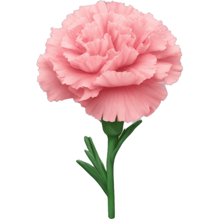 carnation emoji