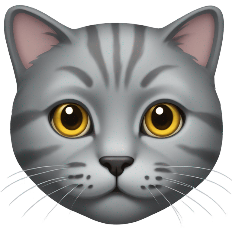 Grey scottish cat  emoji