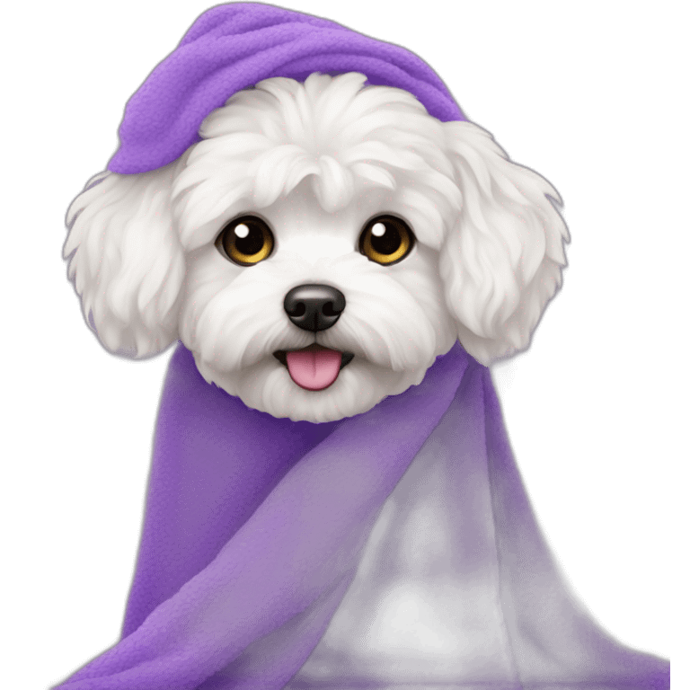 White maltipoo with purple towel emoji