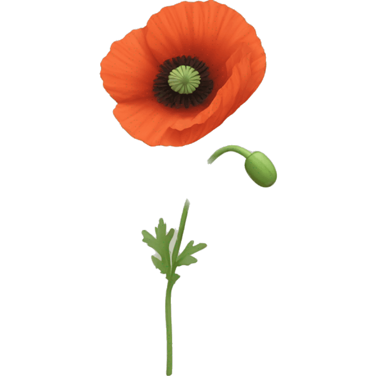 poppy emoji