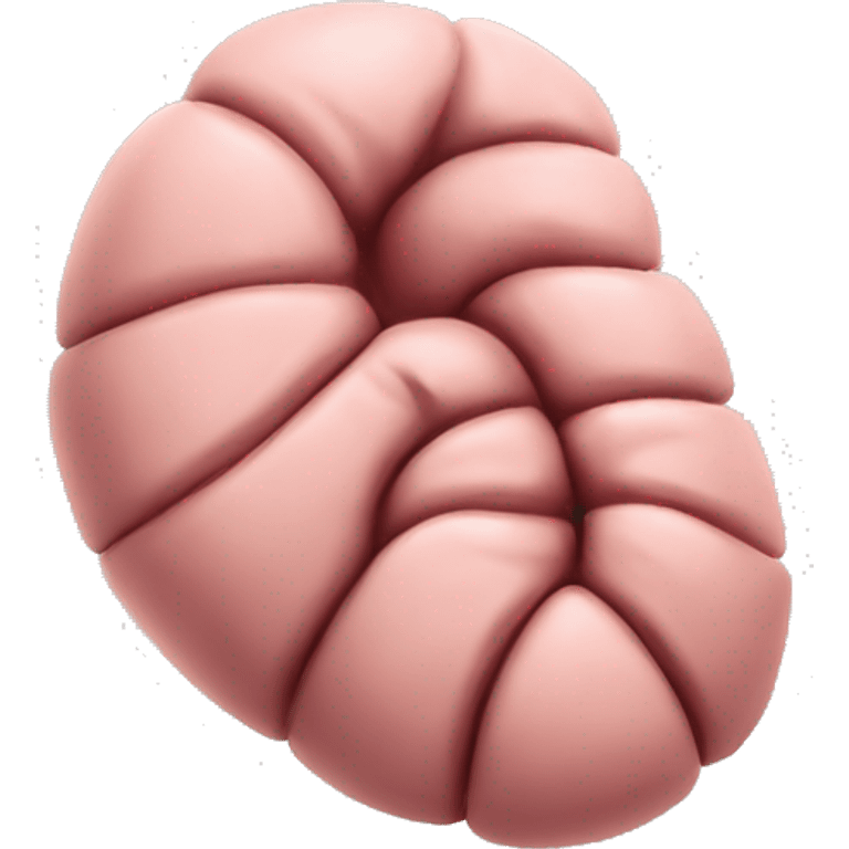 “A detailed image of a human stomach, showing its curved shape, inner folds, and a natural pinkish color.” emoji