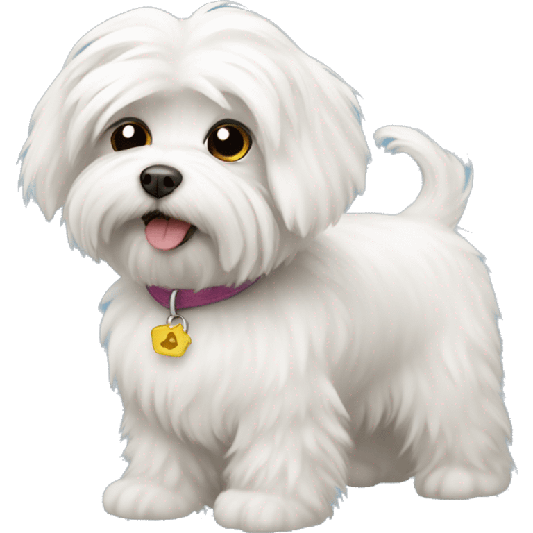 fluffy Maltese dog emoji