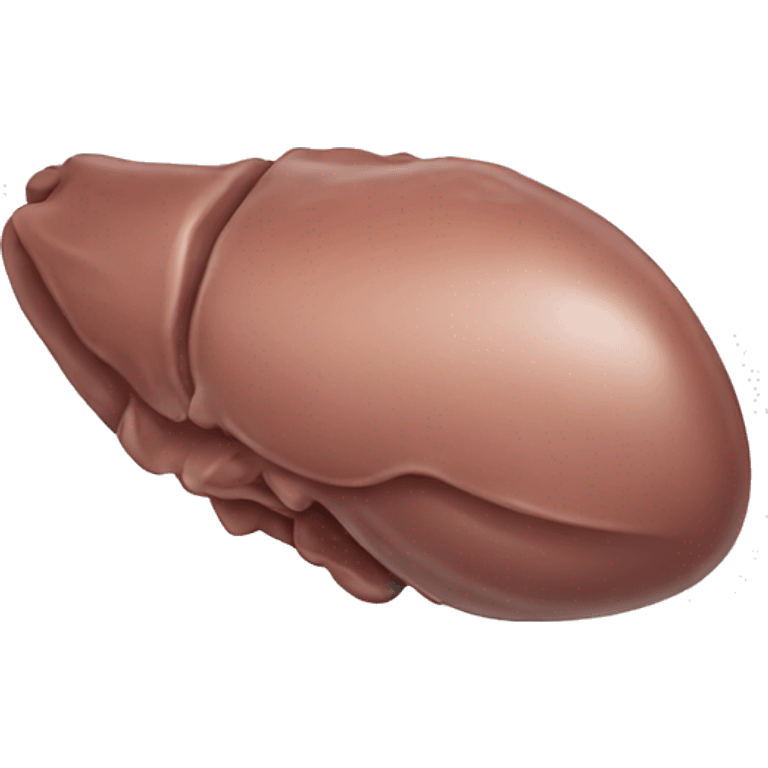 liver on white background emoji