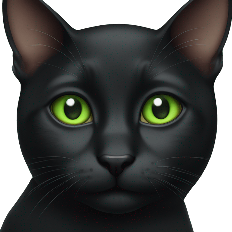 Black cat vit Green eyes  emoji