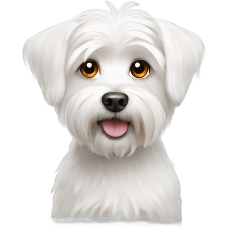 White Maltese terrier dog  emoji