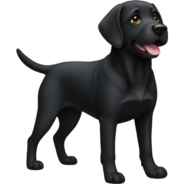 black lab dog emoji