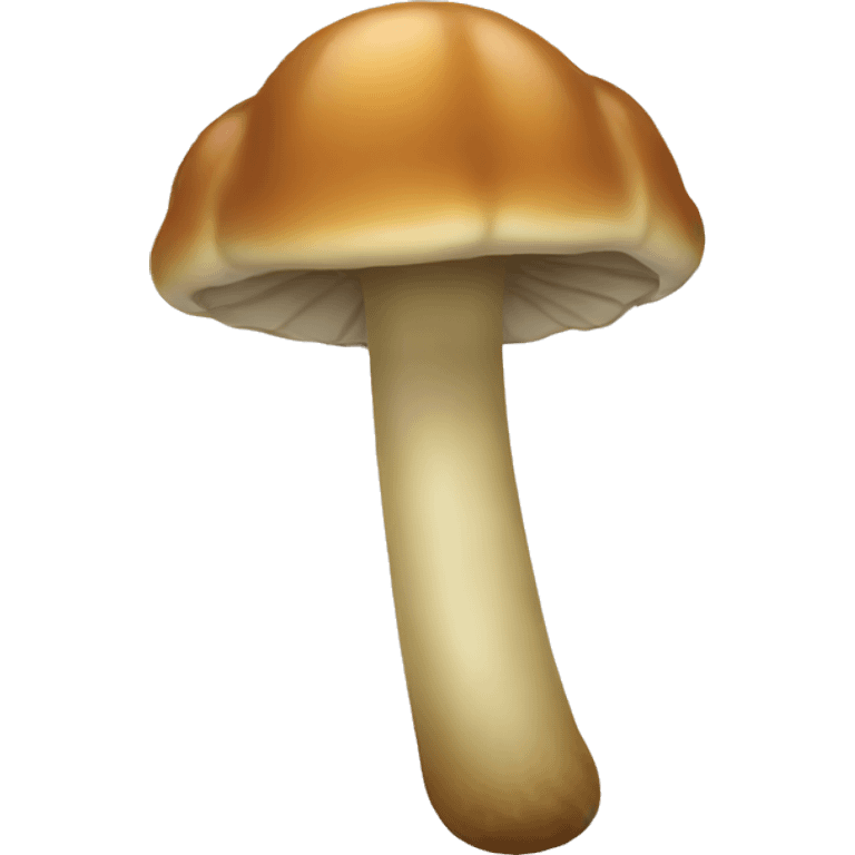 CEP emoji