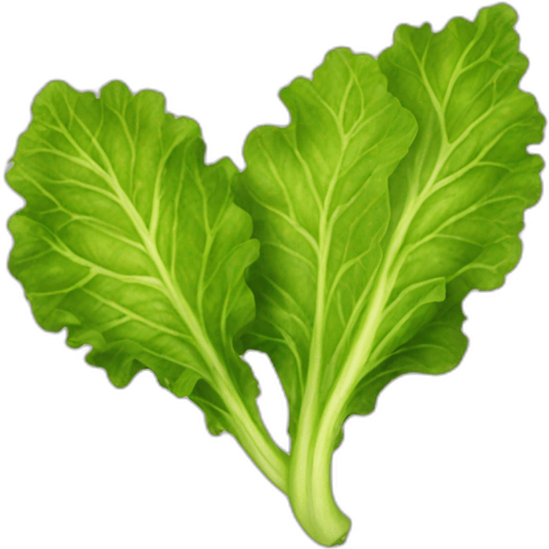 Gold spray painted lettuce leaf lettuce leaf emoji