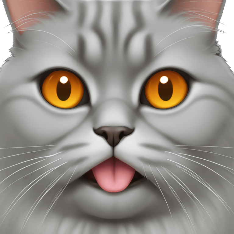 Gray fat cat, Persian cat, orange eyes, tongue sticking out emoji