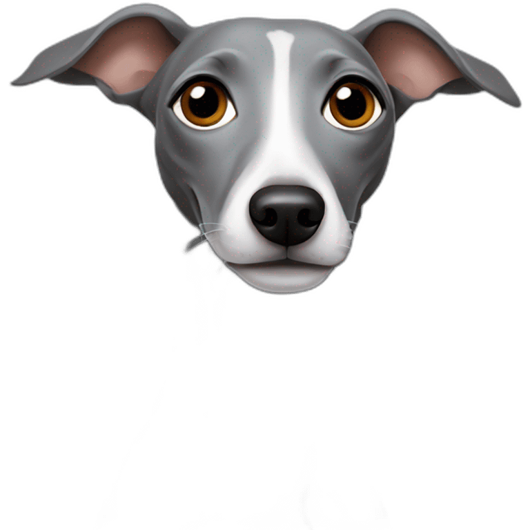 Grey Italian greyhound emoji