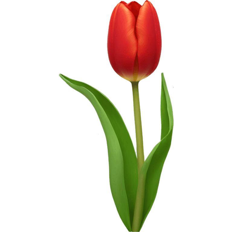 red tulip emoji