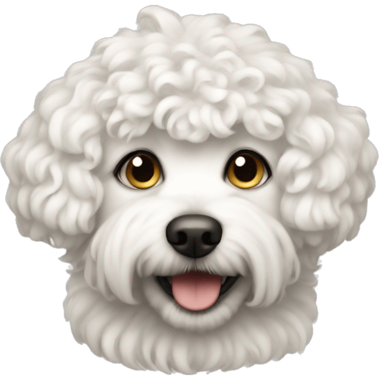 White small curly dog emoji