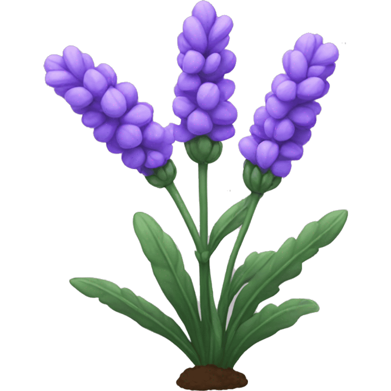 Lavender plant  emoji