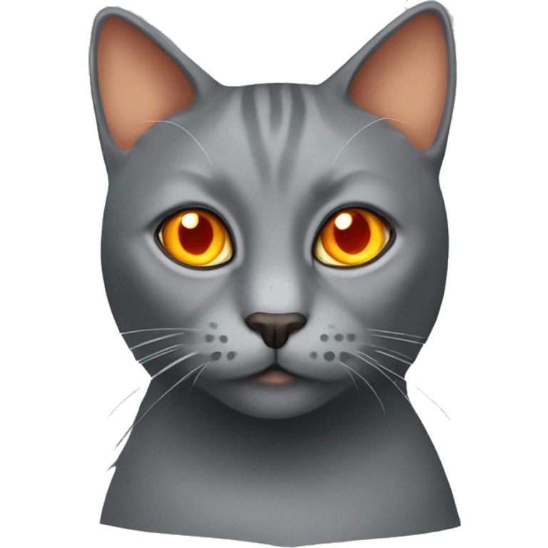 grey cat with orange eyes emoji