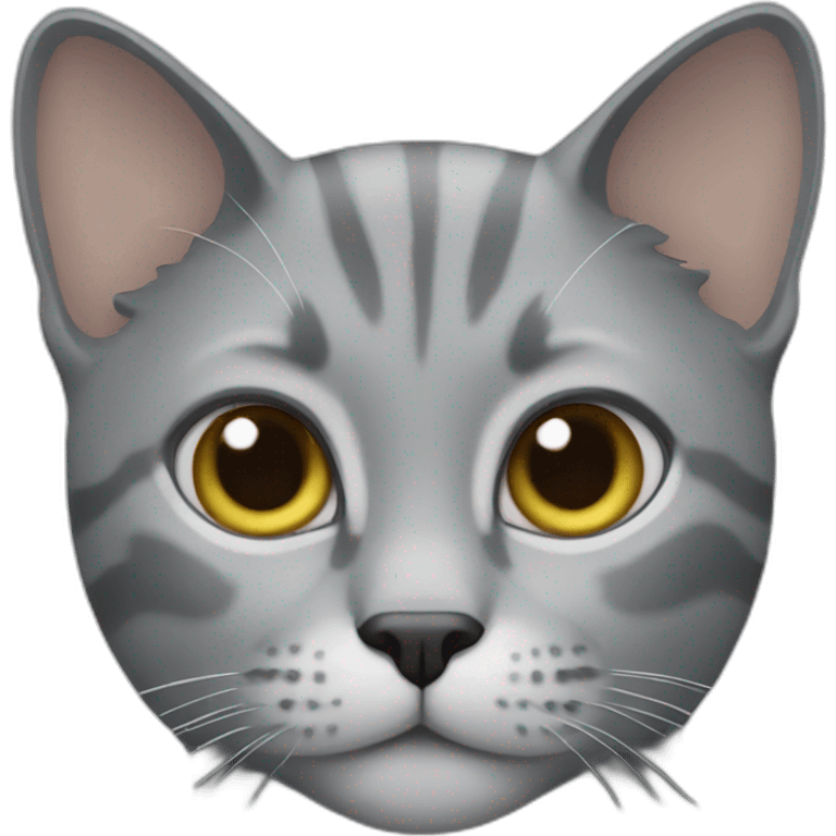 gray cat human emoji