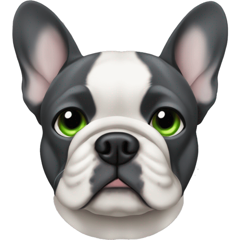 Male French Bulldog, dark grey, green eyes and one ear is floppy. emoji