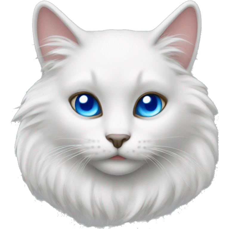 White furry anthro cat blue eyes spanish corsair emoji