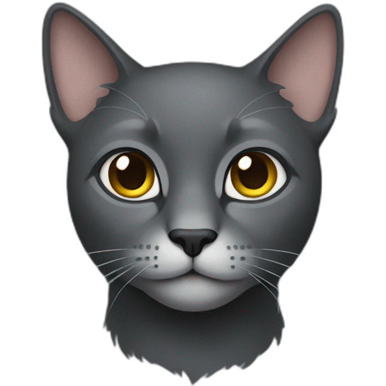 dark-gray-cat emoji