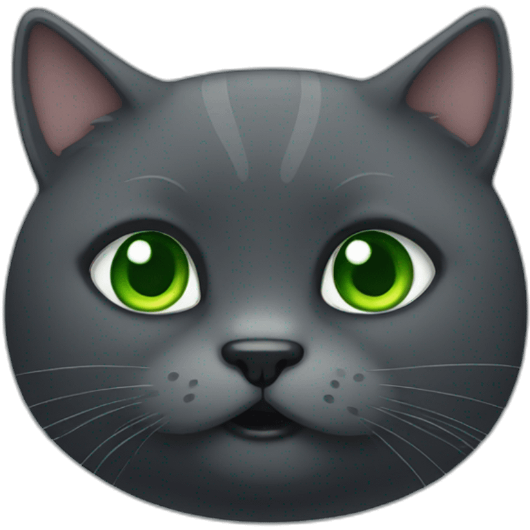 A dark grey cat, a big fat, old and cute. It has green eyes emoji