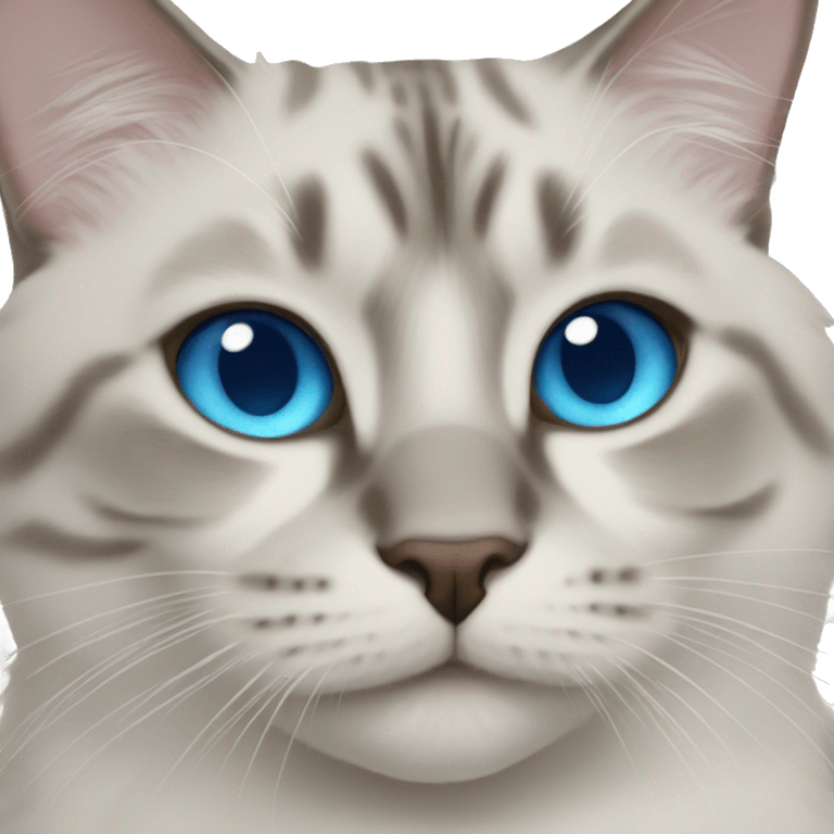 blue eyed cat indoors emoji