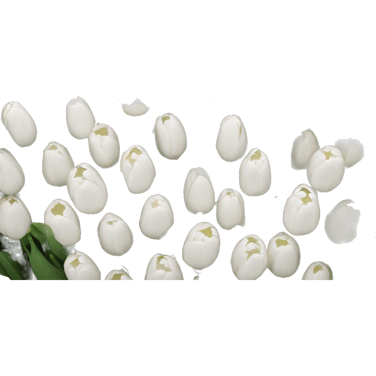 White tulips  emoji