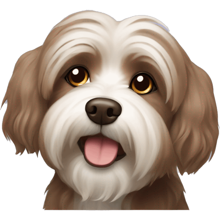 brown havanese dog   emoji