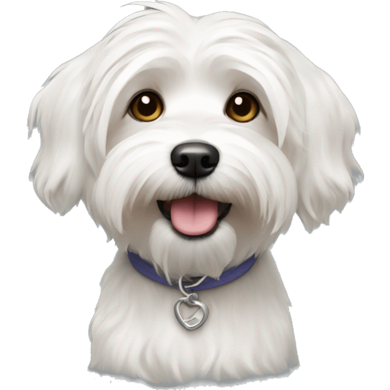 White Havanese dog emoji